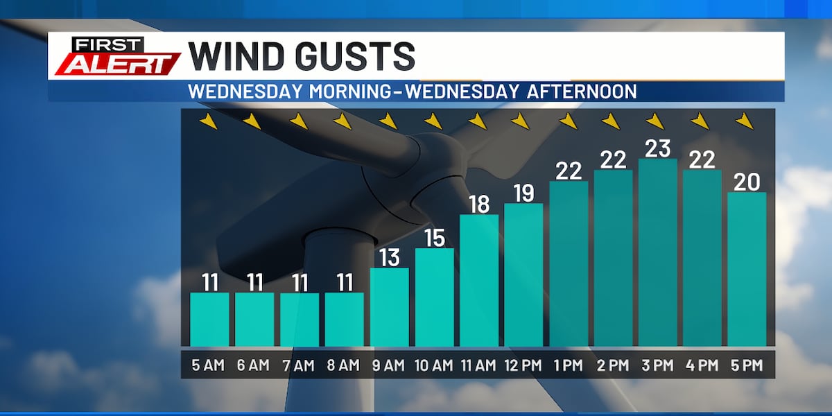 Mostly sunny, breezy, but comfy