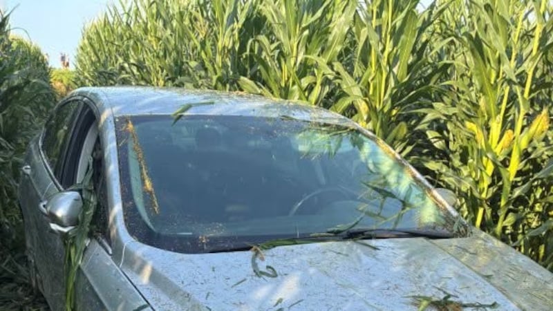 Teen injured in Fayette County crash